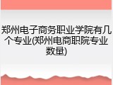 郑州电子商务职业学院有几个专业(郑州电商职院专业数量)
