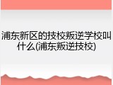 浦东新区的技校叛逆学校叫什么(浦东叛逆技校)