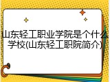 山东轻工职业学院是个什么学校(山东轻工职院简介)