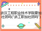 武汉工程职业技术学院要加社团吗("武工职加社团吗")