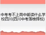 中考考不上高中能读什么学校四川(四川中考落榜择校)
