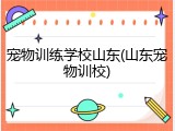 宠物训练学校山东(山东宠物训校)