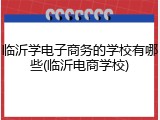 临沂学电子商务的学校有哪些(临沂电商学校)