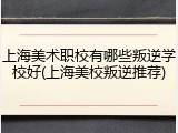 上海美术职校有哪些叛逆学校好(上海美校叛逆推荐)