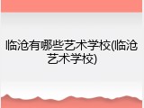 临沧有哪些艺术学校(临沧艺术学校)