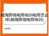威海跨境电商培训电商怎么样(威海跨境电商培训)