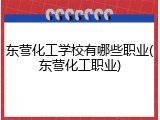 东营化工学校有哪些职业(东营化工职业)