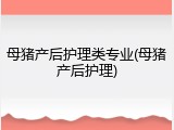 母猪产后护理类专业(母猪产后护理)