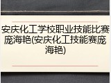 安庆化工学校职业技能比赛庞海艳(安庆化工技能赛庞海艳)