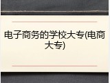 电子商务的学校大专(电商大专)