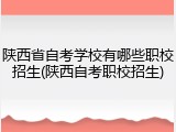 陕西省自考学校有哪些职校招生(陕西自考职校招生)