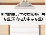 国内的电力学校有哪些中专专业(国内电力中专专业)