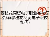 攀枝花商贸电子职业学校怎么样(攀枝花商贸电子职校如何)