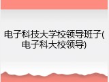 电子科技大学校领导班子(电子科大校领导)