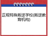 正规特殊叛逆学校(叛逆教育机构)