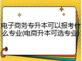 电子商务专升本可以报考什么专业(电商升本可选专业)