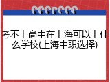 考不上高中在上海可以上什么学校(上海中职选择)