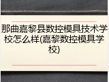 那曲嘉黎县数控模具技术学校怎么样(嘉黎数控模具学校)