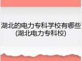 湖北的电力专科学校有哪些(湖北电力专科校)