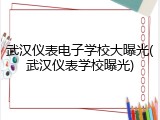 武汉仪表电子学校大曝光(武汉仪表学校曝光)