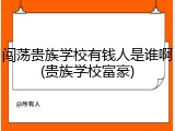 闯荡贵族学校有钱人是谁啊(贵族学校富豪)
