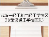 武汉一轻工和二轻工学校区别(武汉轻工学校区别)