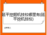 延平挖掘机技校哪里有(延平挖机技校)