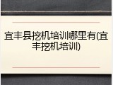 宜丰县挖机培训哪里有(宜丰挖机培训)