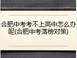 合肥中考考不上高中怎么办呢(合肥中考落榜对策)