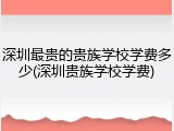 深圳最贵的贵族学校学费多少(深圳贵族学校学费)