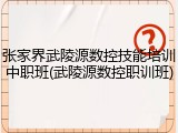 张家界武陵源数控技能培训中职班(武陵源数控职训班)