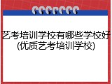 艺考培训学校有哪些学校好(优质艺考培训学校)