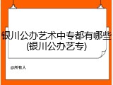 银川公办艺术中专都有哪些(银川公办艺专)