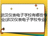 武汉仪表电子学校有哪些专业(武汉仪表电子学校专业)