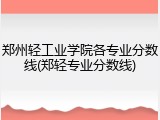 郑州轻工业学院各专业分数线(郑轻专业分数线)