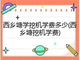 西乡塘学挖机学费多少(西乡塘挖机学费)