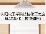 沈阳化工学院技校化工怎么样(沈阳化工技校如何)