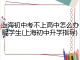 上海初中考不上高中怎么办呢学生(上海初中升学指导)