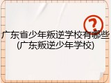 广东省少年叛逆学校有哪些(广东叛逆少年学校)
