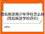茂名叛逆青少年学校怎么样(茂名叛逆学校评价)