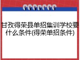 甘孜得荣县单招集训学校要什么条件(得荣单招条件)