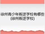 徐州青少年叛逆学校有哪些(徐州叛逆学校)