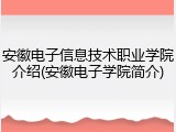 安徽电子信息技术职业学院介绍(安徽电子学院简介)