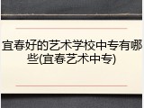 宜春好的艺术学校中专有哪些(宜春艺术中专)