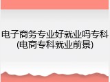 电子商务专业好就业吗专科(电商专科就业前景)