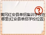 黄冈红安县单招集训学校在哪里(红安县单招学校位置)