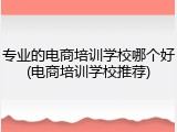 专业的电商培训学校哪个好(电商培训学校推荐)