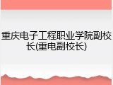 重庆电子工程职业学院副校长(重电副校长)