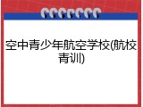 空中青少年航空学校(航校青训)