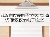 武汉市仪表电子学校地址查询(武汉仪表电子校址)